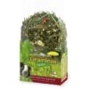 JR Farm Grainless Herbs Meerschweinchen 5kg