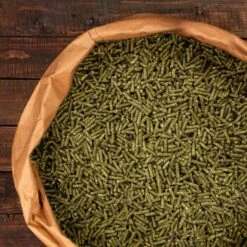 Knabbermann Carangas Meerschweinchenfutter 5 Kg -EHEIM || DENNERLE || VERSELE-LAGA Verkäufe a2e9cfd2264a4440e350760ec4221a6690c6de11 1428488 de DE 94a0405cce40204948fd074580f5b244e504aac3WMbRWS