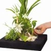 Velda Floating Plant Island Eckig 35 Cm -EHEIM || DENNERLE || VERSELE-LAGA Verkäufe a4035882013641bcb02efcefabec9600dbd31a3a 100b1ba818129da8b0a8435161b107775f74faa4