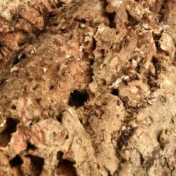 HappyBird Kork Sitzbrett XL -EHEIM || DENNERLE || VERSELE-LAGA Verkäufe a774c45f38b43354bd86d7a04e9ad16d0eaf1a6c 1416847 de DE 4d26871b626013948e4cb08465e286887bfaaa137dh8BQ