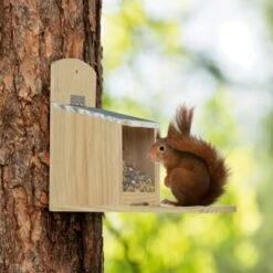 AniOne Eichhörnchen Futterspender -EHEIM || DENNERLE || VERSELE-LAGA Verkäufe a7d05daa79174a539062e88ae3dab404e6f4e0be 1272033 de DE AniOne 3