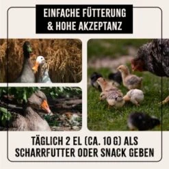 Aniforte FarmLife Soldatenfliegenlarven 800g -EHEIM || DENNERLE || VERSELE-LAGA Verkäufe ab207ba5678b2ba7757a558790c1c4637502dc32 1659554 de DE e9cf6949d4623279c5ecf4fd800d7c6c687dd87aGK14XO