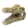 Europet Bernina Krokodil Schädel 2 Europet Bernina Krokodil Schädel -EHEIM || DENNERLE || VERSELE-LAGA Verkäufe af898dd28ec6be2cac8dc6725e9b742099024830 737b64dbb4f22813ac22cc9589a4d6fb5a62cc39