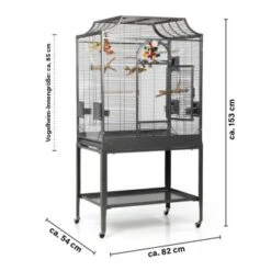 Montana Cages Voliere Madeira II Dunkelgrau 19 Montana Cages Voliere Madeira II Dunkelgrau -EHEIM || DENNERLE || VERSELE-LAGA Verkäufe b6069bd0e8efbbecb820b86479efcb00324d52e9 1011602 de DE cc36261b6340a0a166d8593c576822d873114e0drQW25I