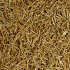 Tetra Anchovies 1l -EHEIM || DENNERLE || VERSELE-LAGA Verkäufe bb925221748a4492314399d068ff6c12e60149ff 2b561a30a1c63288bfcb4562f34be7470e2a6637