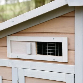 Kerbl Hühnerstall Bonny 4 Kerbl Hühnerstall Bonny – Bild 2