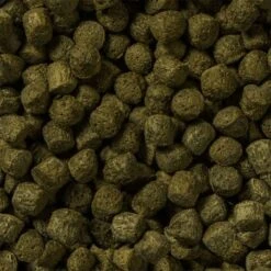 Sera KOI Color L Hauptfutter 3,8l -EHEIM || DENNERLE || VERSELE-LAGA Verkäufe be7e0e0b414159d10b36c36ec099ebaeefffc9c9 643570939fc037c95e1aeb183edbb633a5f45d0e