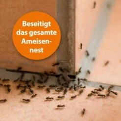 Ardap Ameisen Köderdose 3er Pack -EHEIM || DENNERLE || VERSELE-LAGA Verkäufe bef656cbe3707149fd9e3abee6a07d9201aa58e2 1385164 de DE d2fe27704e9569144d908302d9ebbbee5ee43d02o9z7sc