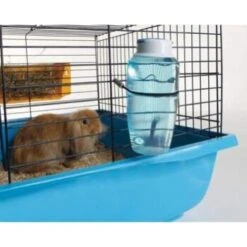 Savic Trinkflasche Source 300 Ml -EHEIM || DENNERLE || VERSELE-LAGA Verkäufe bf715cf9bf40f48bf8ff329090400df78509b41a 9b337ed2937801349f27dcf1bb0ee66e979c5a5f