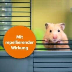 Ardap Milben- Und Zeckenspray Für Nager Und Vögel 100ml -EHEIM || DENNERLE || VERSELE-LAGA Verkäufe c0258137102fedcaee849c2aa5bc87fdd3512d95 1352522 de DE 2ff1a55005729c41fcd46fcaf7a9e3e66cfcfe9aSVziJD