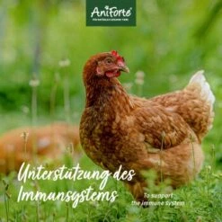 Aniforte Muschelgrit Für Hühner 5kg -EHEIM || DENNERLE || VERSELE-LAGA Verkäufe c1cf4be65648118895fc79fc74c4a48fa78809a0 1489432 de DE fd569ab9176680d1f18285032fe384102231c4076ZVKxA