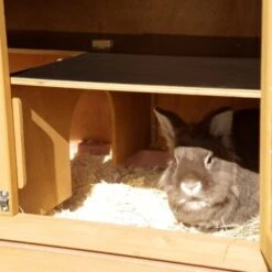 Kerbl Nagerstall Appartement Pro -EHEIM || DENNERLE || VERSELE-LAGA Verkäufe d0393ab2c6d0024f1e38155c2064cc1a55cb4c3e aaca8b9b82324f261778e220e8b4c213eb3f4d3d