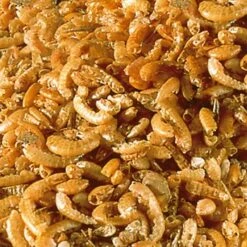 Sera Raffy I 3800ml -EHEIM || DENNERLE || VERSELE-LAGA Verkäufe d105bcbfd285971eff17442d7ca02beb77124319 c8afa1f185a9bcf6f07fb46149d3ca9723165e33