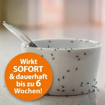 Ardap Ameisenspray 400ml 4 Ardap Ameisenspray 400ml – Bild 2