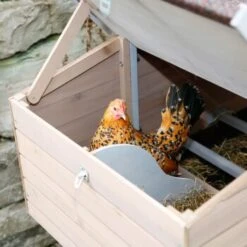 Kerbl Hühnerstall Bonny 15 Kerbl Hühnerstall Bonny -EHEIM || DENNERLE || VERSELE-LAGA Verkäufe d13f3e0703713d8c0cd7f7e04dcd0a1e19fb101c 8786a24a36690dbacccf0a01bf253c2b0753c23e