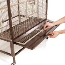 Montana Cages Voliere Villa Casa 90 -EHEIM || DENNERLE || VERSELE-LAGA Verkäufe d3e1acc4f4fea95d5e1ff3eb5a4418e7ec0d97f9 1039422 de DE cee2563bfecbea93636721e8f6876b8ca1589c54fMY38l