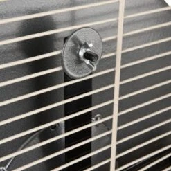 Wagner Montana Cages Metall-Laufrad Ø 38cm 11 Wagner Montana Cages Metall-Laufrad Ø 38cm -EHEIM || DENNERLE || VERSELE-LAGA Verkäufe d617bd4dfbc1724778c20b1c5755c0a1ef592d48 1484280 de DE 05a82c0dc36325300cf7e58e8159a2a6bf92c5f4CacJUu