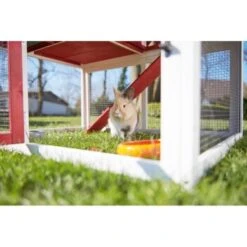 AniOne Kleintierstall Woody Ranch -EHEIM || DENNERLE || VERSELE-LAGA Verkäufe db28ed601cc7e596f155015c17f7fdf71fd47419 1351785 de DE AniOne.10