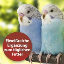 Quiko Bierhefe 400g: Eiweißreiche Ergänzung Zum Täglichen Futter Für Ziervögel -EHEIM || DENNERLE || VERSELE-LAGA Verkäufe dbea3a9534bfd87d9c3612a707b4b2a72d3b88e8 1386526 de DE 81b3ddf78d2ba1575bc8dd1b556a4d784786c157kjWBy7