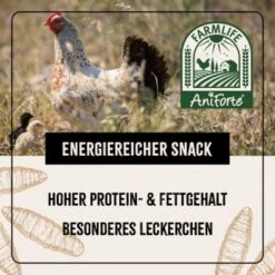 Aniforte FarmLife Soldatenfliegenlarven 800g -EHEIM || DENNERLE || VERSELE-LAGA Verkäufe dcdb65a09e5cc59b269ab91a3426e23ae3cf5eee 1659554 de DE 4f38ad44c99f5b2051820658b5475da6bb03dda2GeedLF