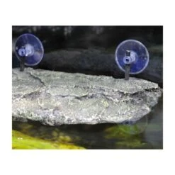 Lucky Reptile Turtle Island II M -EHEIM || DENNERLE || VERSELE-LAGA Verkäufe e1810f89c1e9f7b8843efef503f104a993d9f22a ca14fa4ac960549c7f5e2a2f8bf7c187cc3c148c