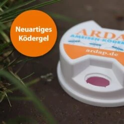 Ardap Ameisen Köderdose 3er Pack -EHEIM || DENNERLE || VERSELE-LAGA Verkäufe e2473313d70fa49efe99856c2b9285dc0230e443 1385164 de DE 69e54b3f21634f443984403d2c50b2bef669012eaLGV3a