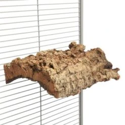 HappyBird Kork Sitzbrett XL -EHEIM || DENNERLE || VERSELE-LAGA Verkäufe e8b2950c642c9ef016f80c28713a09942915f413 1416847 de DE 4626cf9388aa22b7467d5746315ee5f44c7b4ddbETGHf6