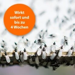 Ardap Ungeziefer Zerstäuber 500ml 9 Ardap Ungeziefer Zerstäuber 500ml -EHEIM || DENNERLE || VERSELE-LAGA Verkäufe e9bc5258bd9e8c61a455e4801bb5345a2c3d41d8 1662517 de DE 8a18f9e800e4f1a598953e1bc5c410fd9e96c1e61UAUj5