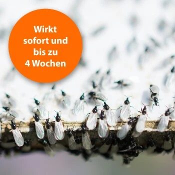 Ardap Ungeziefer Zerstäuber 500ml 5 Ardap Ungeziefer Zerstäuber 500ml – Bild 3