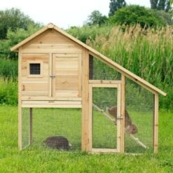 Lionto Kleintierstall, 140x65x119cm -EHEIM || DENNERLE || VERSELE-LAGA Verkäufe ef53431a8affe2f06f5deba84366a8a089439e55 1498011 de DE bf40166c7b5aa44796eb2ab9af483bec9214edc8qz1Z0r