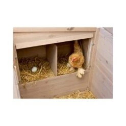 Kerbl Hühnerstall Emma -EHEIM || DENNERLE || VERSELE-LAGA Verkäufe efef9413129d6461a71ab95b41fc583af4c03fa9 c6dfb316bee937ac110faf313bfd2a4a0d34aad3