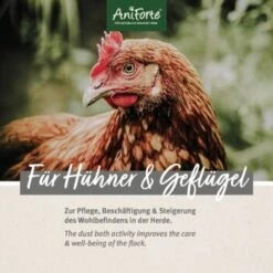 Aniforte Staubbad Für Hühner 10kg 12 Aniforte Staubbad Für Hühner 10kg -EHEIM || DENNERLE || VERSELE-LAGA Verkäufe f0828d691afac1ceb41f50168d32fa2f51ee0434 1489435 de DE 8b05b5ef060d964b4334a984d71ab6a4b68e4e0em7n27D
