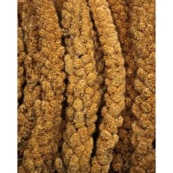 JR Farm Gelbe Kolbenhirse 1,5 Kg -EHEIM || DENNERLE || VERSELE-LAGA Verkäufe f38b3973c37de3c4049cfe33760d45f9b1030524 bf617f613049b6bf32c99e0b1ff1845b71b1521d