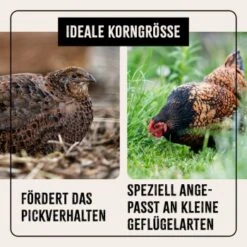 Aniforte FarmLife Wachtel Futter Müsli 5 Kg -EHEIM || DENNERLE || VERSELE-LAGA Verkäufe f9d4ddeefe1612dbc4a30e79d439391497fdb8eb 1496424 de DE cc35c973e64a4721f03572d0efc40fd0204d0410AxwbbK