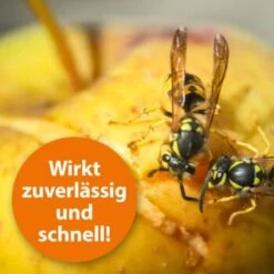 Ardap Wespenspray 400ml -EHEIM || DENNERLE || VERSELE-LAGA Verkäufe f9db1e1cf1134cd0438b9af36ec67d128255bc06 1236619 de DE 17c914aaa02daa318c8fc680e0b04e7636832602cDkIgu