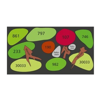 DENNERLE Wasserpflanzen-Set "80L Basic" 13 DENNERLE Wasserpflanzen-Set "80L Basic" – Bild 11