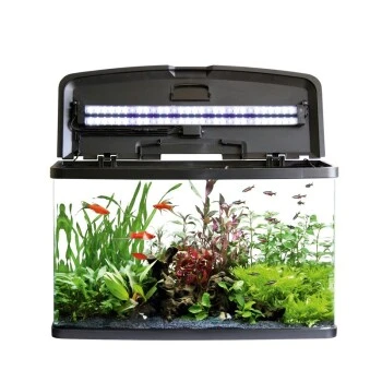 Fluval VUE Kombination 7 Fluval VUE Kombination – Bild 5