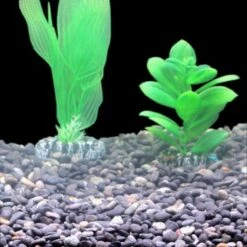 Silbermann Dark Gravel 5 Kg -EHEIM || DENNERLE || VERSELE-LAGA Verkäufe ff1094e95dae4f2b4a17de06744297fd7ecdbcef 1490266 de DE 8b44a4fbef1605f539c0ebb3a538a091cec3dbadmMXnlK